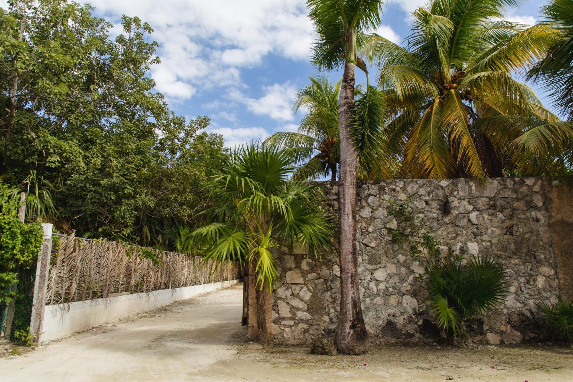 Angelina 28 Beachfront And Family Apartments - Modern And Relaxing Long Stays - 20 Min From Cancun Airport Puerto Morelos Exterior photo